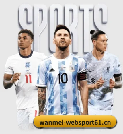 完美体育websport61的故事